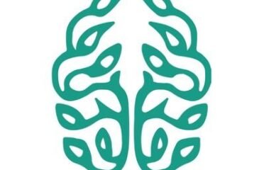 مفهوم شجرة للتشغيل والصيانة