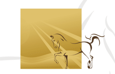 طرق التطور للمقاولات العامة 1 مجموعة الحمرور