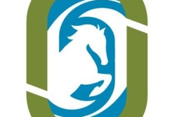 جوول للوقود