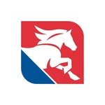 بترولي للخدمات البترولية