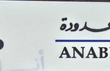 شركة انابيب المحدودة