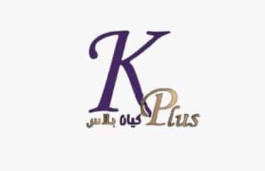 كيان بلاس لأنظمة السلامة