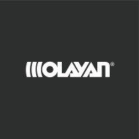مجموعة العليان (Olayan Group)