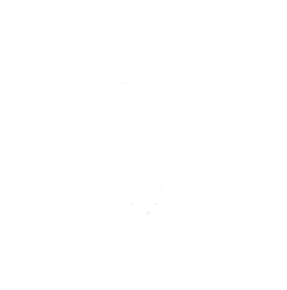 security logo 001