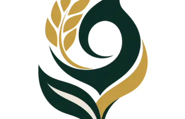 الوفرة الرائدة للتجارة